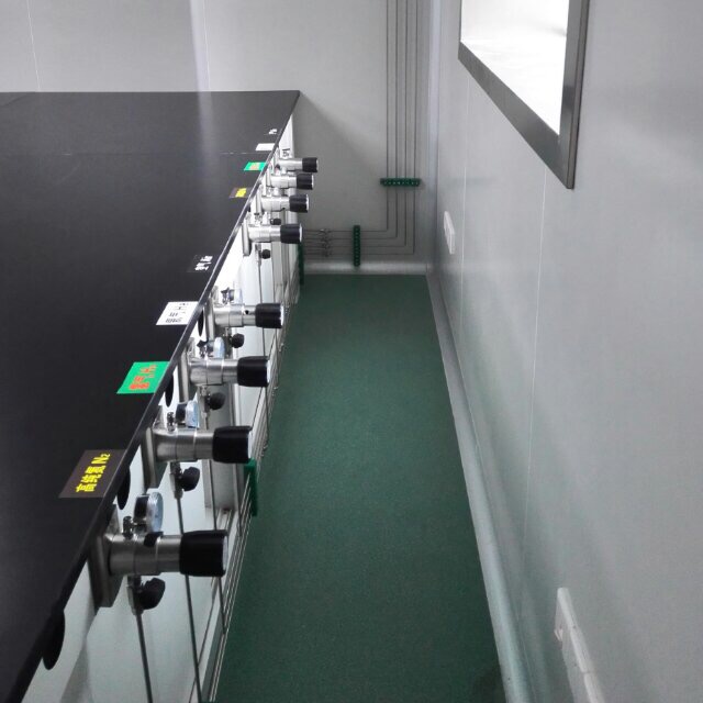 通用生物(wu)系統(安徽)有限(xiàn)公司實驗室集(ji)中供氣工程