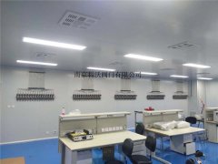 濰坊臨(lín)朐公安局化驗(yan)室供氣管道工(gōng)程案例